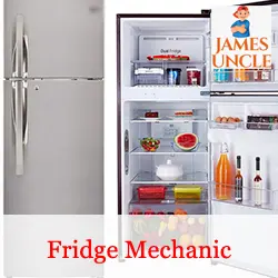 Fridge mechanic Mr. Sankar Das in Payradanga